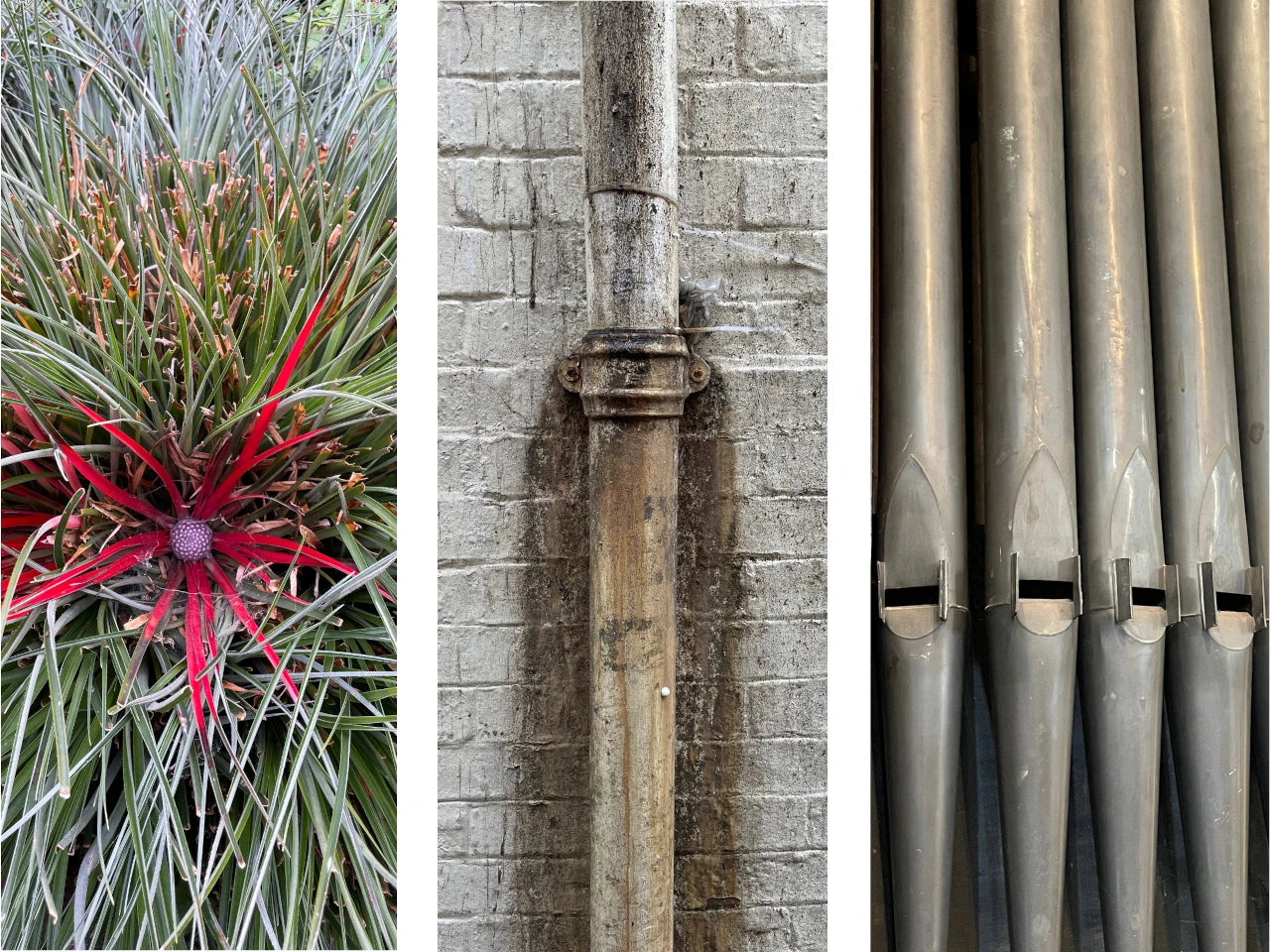 Three images: a plant with red and purple flowers, a stone wall with a pipe, and metal organ pipes.